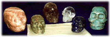 Skull Collection of Joky Van Dieten
