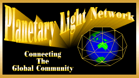 PLN Logo
